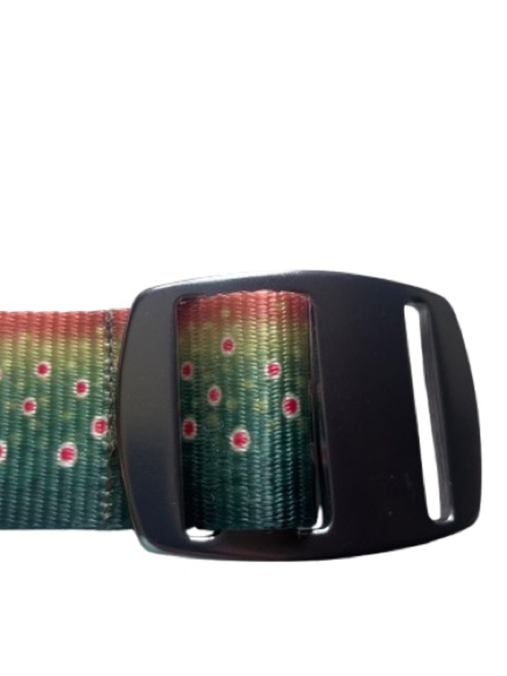 Croakies Patterned Green Ombre Webbing Belt with Metal Bottle Opener Buckle EUC